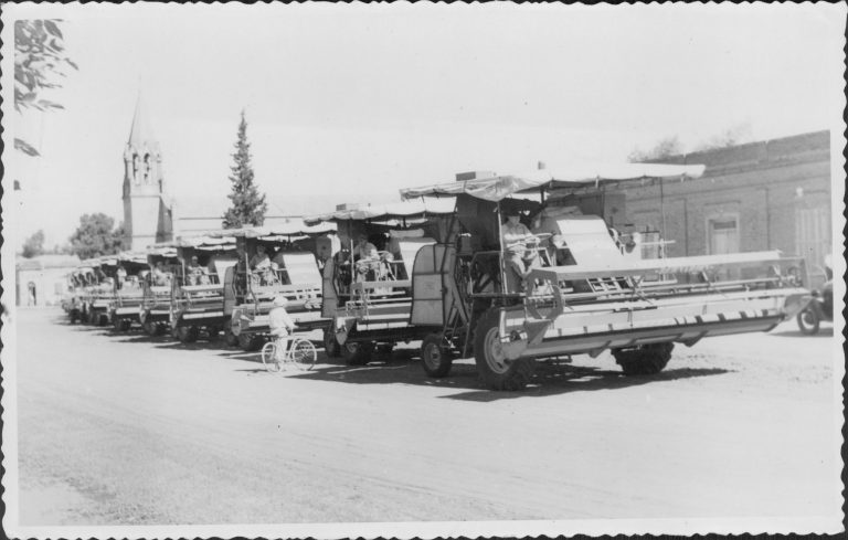 El agro en el gobierno de Frondizi: campo y rentabilidad