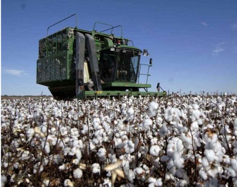 El potencial argentino: el desafío del desarrollo de las provincias