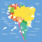 Denominaciones de origen más relevantes de América Latina