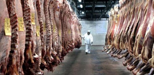 Empleado de un frigorífico entre reces de carne. Fuente Telam