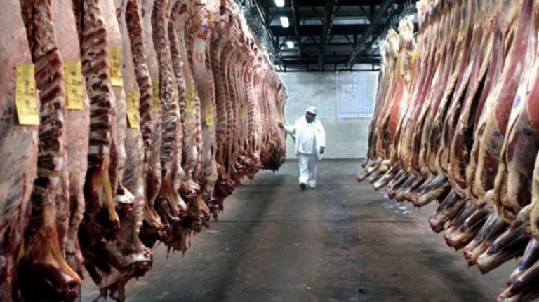 Empleado de un frigorífico entre reces de carne. Fuente Telam