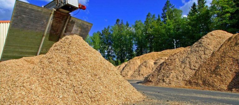 Bioeconomía: la agroindustria más allá de los alimentos