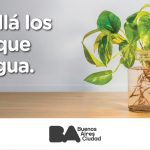 Banners digitales_Dengue_1921x701px