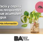 Banners digitales_Dengue__300x250px