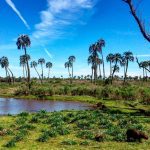 Parque Nacional el Palmar en Colón