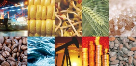 El enfoque desarrollista, en contraposición al liberalismo vernáculo , busca no sólo explotar recursos naturales, sino integrarlos en una estrategia de diversificación productiva.