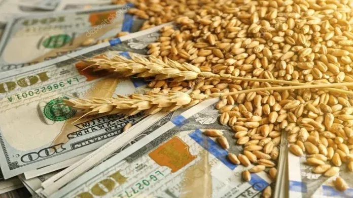 La medida busca acelerar la liquidación de divisas y aliviar tensiones cambiarias, pero no crea dólares nuevos, erosiona la recaudación y alimenta expectativas de un salto devaluatorio. Foto: Shutterstock